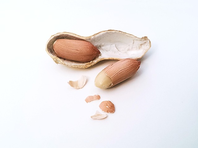 peanut, nut, nuts, peanut shell, shell, nutshell, nut kernel, core, peanut, peanut, peanut, peanut, peanut