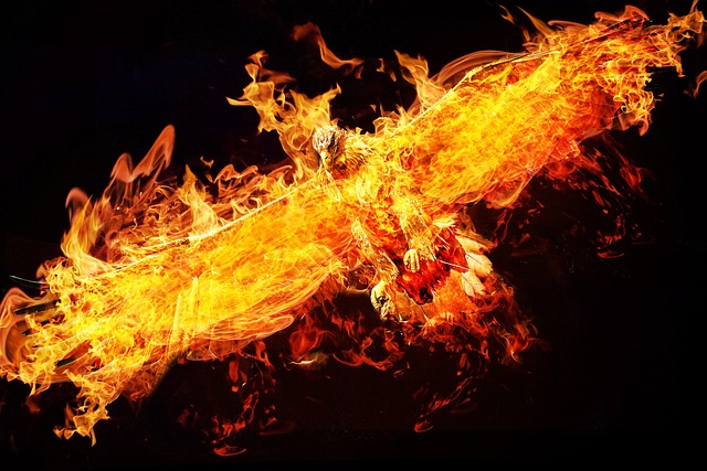 phoenix, photoshop, eagle, fire, digital art, firebird, photoshop composition, phoenix, phoenix, phoenix, phoenix, phoenix