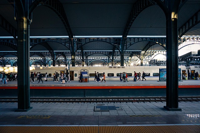 railway, train platform, railway platform, harbin, train station, railway, train station, train station, train station, train station, train station
