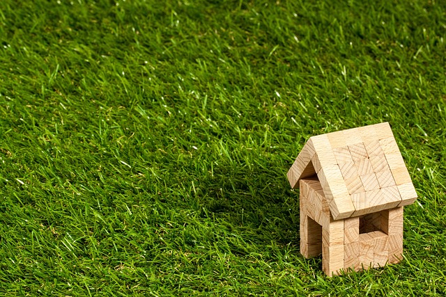 house, nature, structure, real estate, concept, building, residential, architecture, roof, wooden house, hut, log cabin, grass, meadow, artificial turf, property, rent, lease, loan, investment, mortgage, apartments for rent