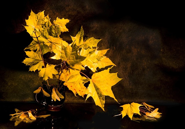 A person using a laptop to interact with AI technology indoors during the day.