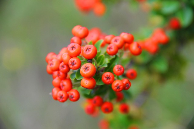 nature, and, its, product